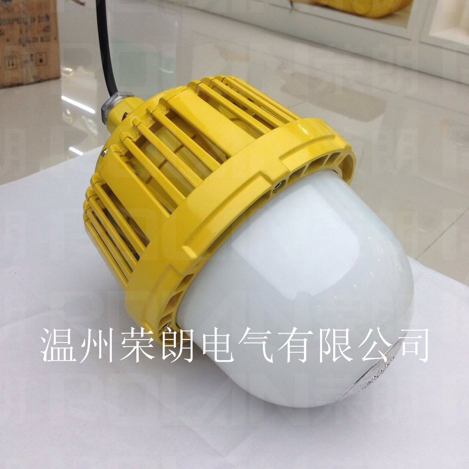 广东深圳机械加工厂防爆灯LED泛光灯50W